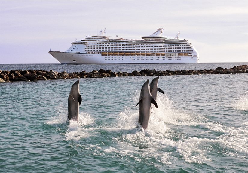 Royal Caribbean Cruises career: open positions